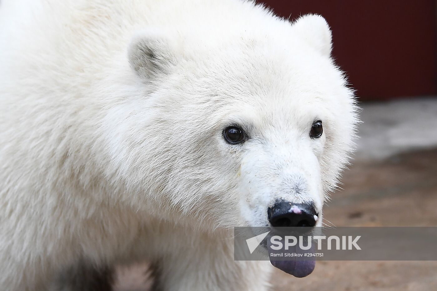 Moscow Zoo nursery