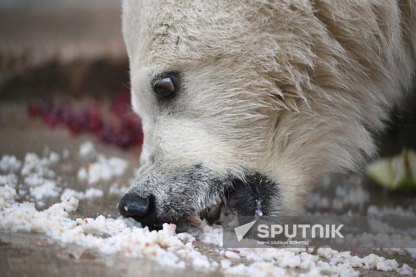 Moscow Zoo nursery