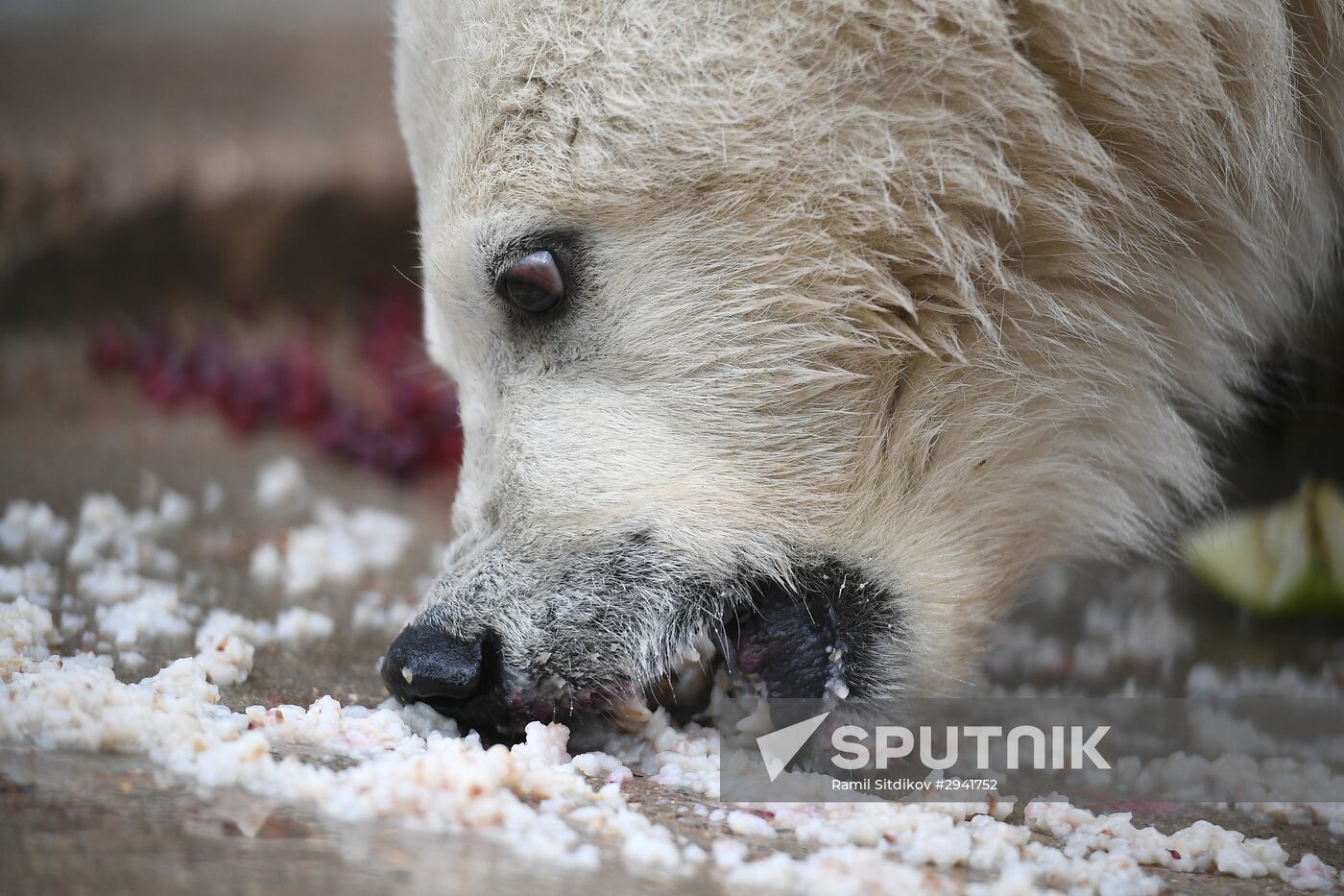 Moscow Zoo nursery