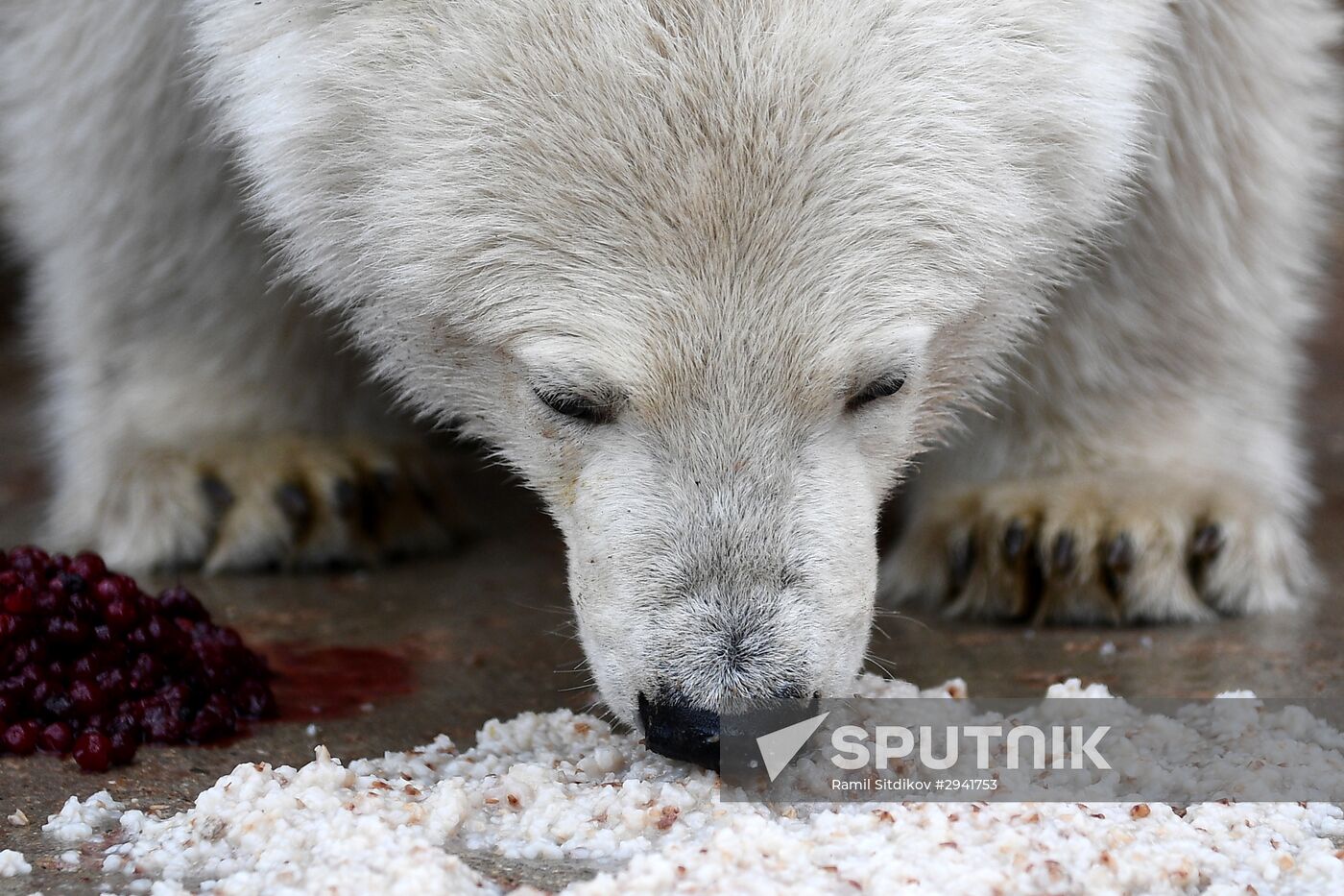 Moscow Zoo nursery