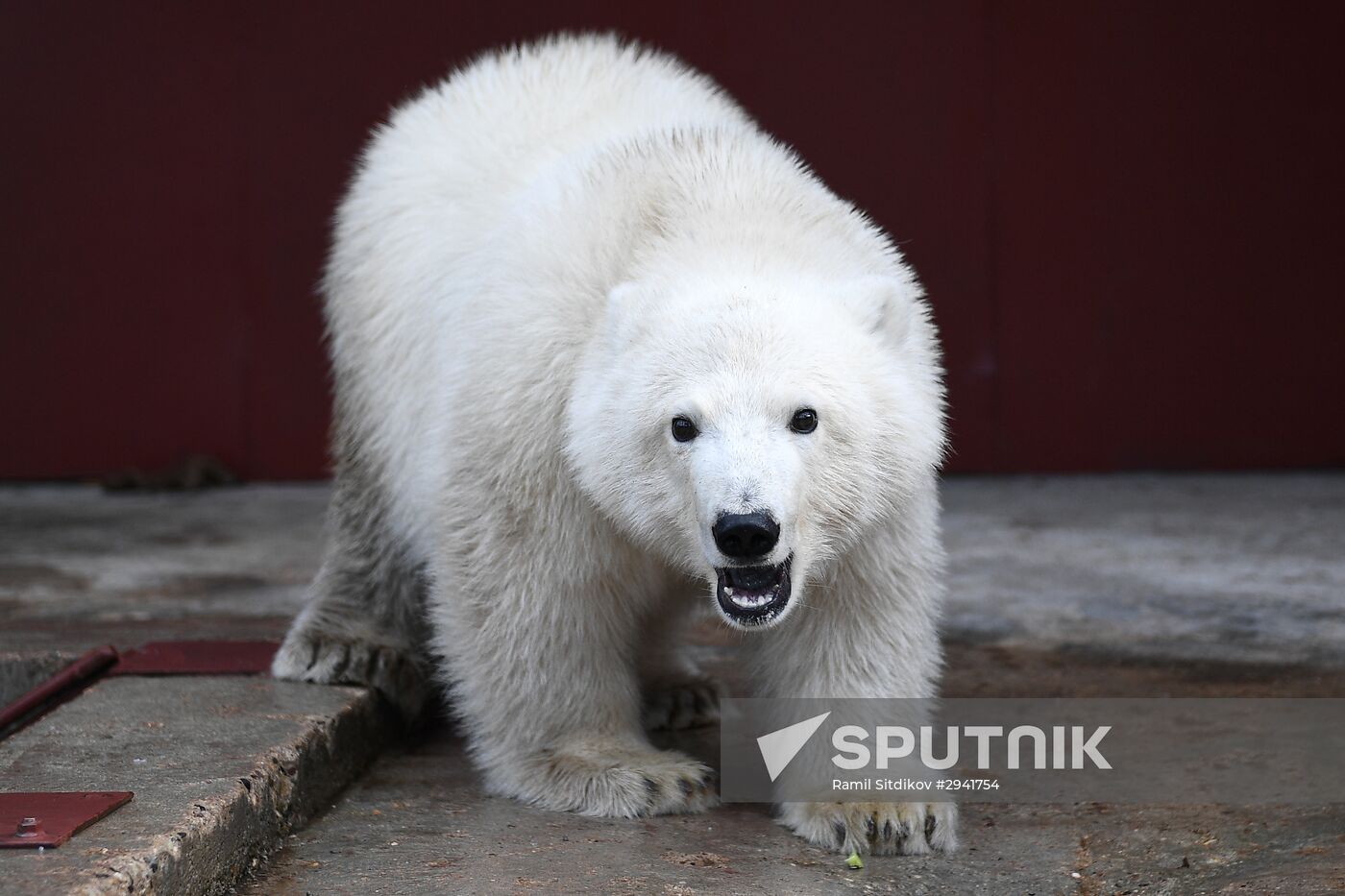 Moscow Zoo nursery