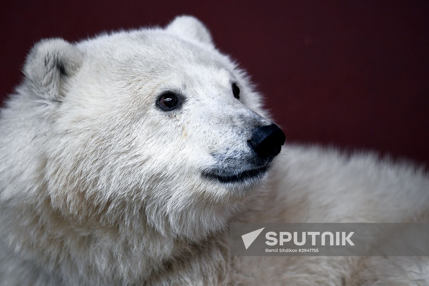 Moscow Zoo nursery