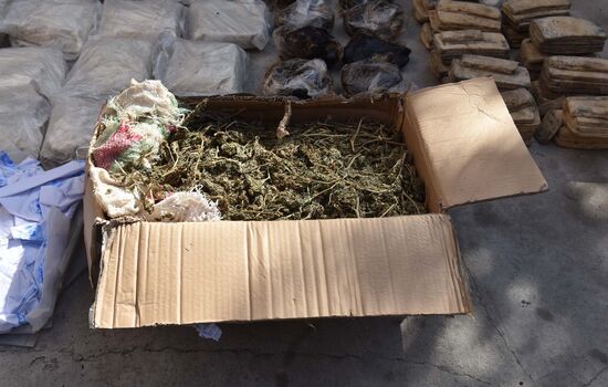 Destruction of drugs in Tajikistan