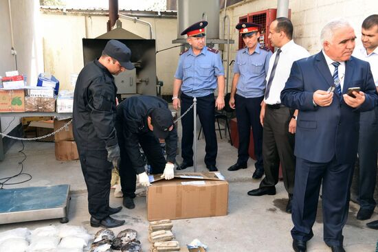 Destruction of drugs in Tajikistan