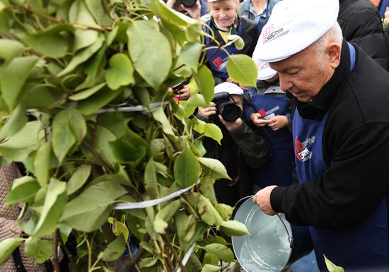 Clean-up effort in honour of ex-Moscow mayor Yuri Luzhkov