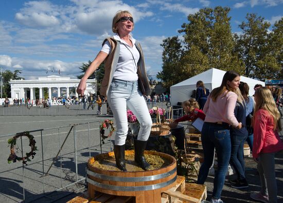 'The Taste of Crimea' art festival in Sevastopol