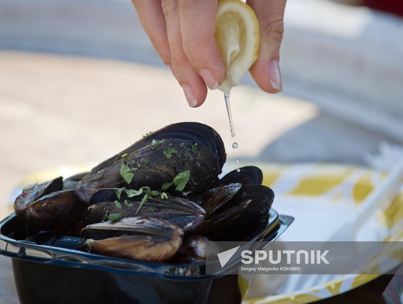 'The Taste of Crimea' art festival in Sevastopol