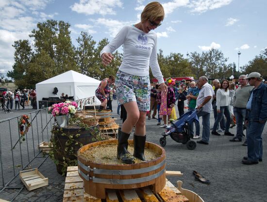 'The Taste of Crimea' art festival in Sevastopol