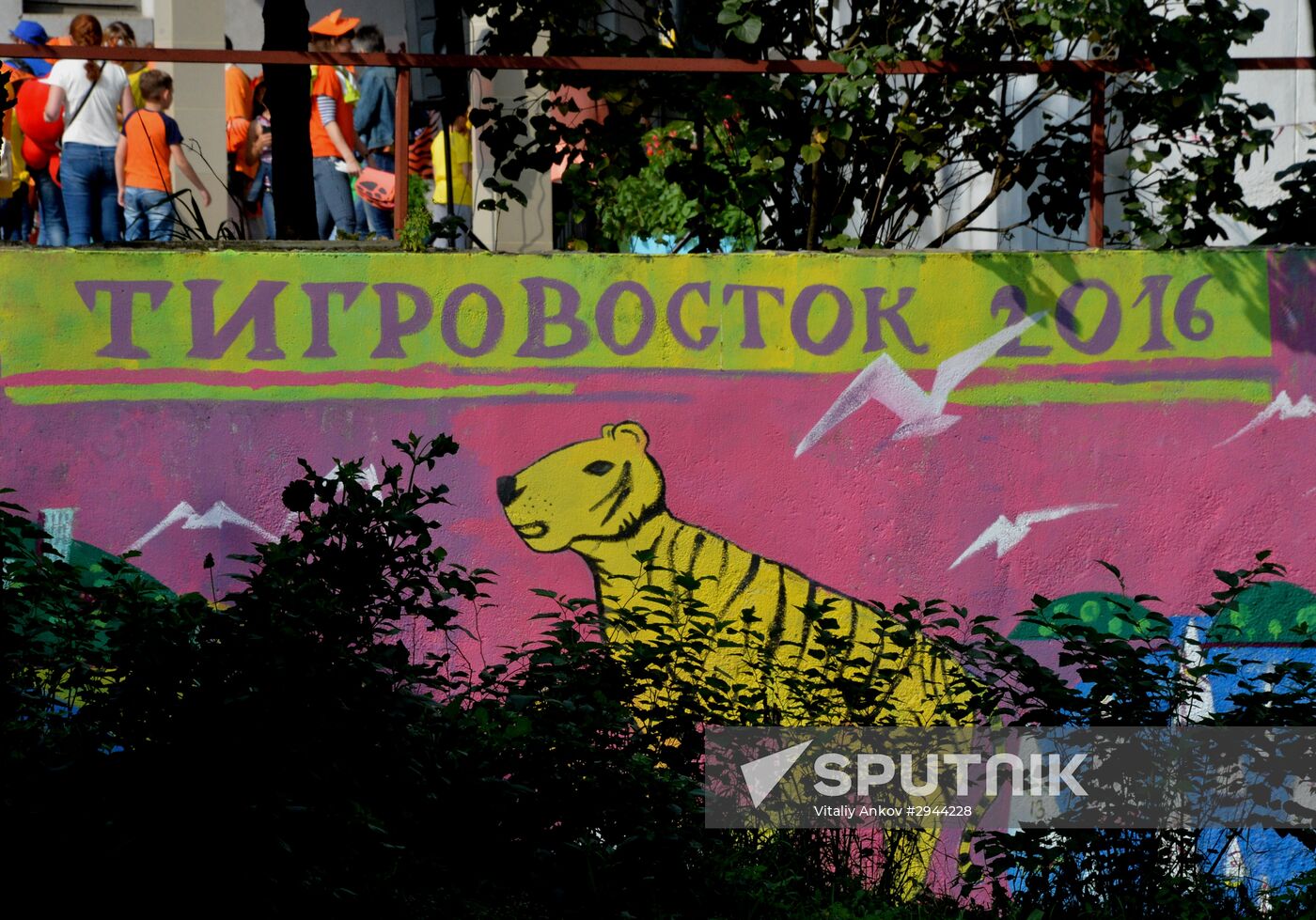Tiger Day celebrated in Vladivostok