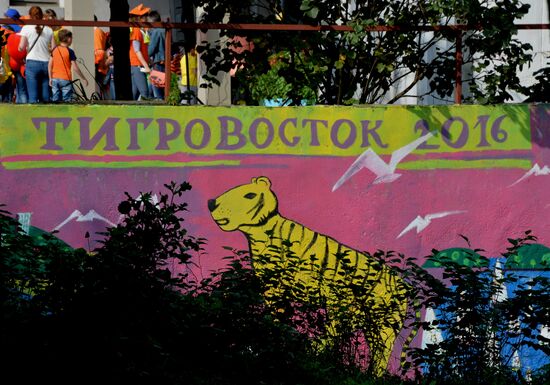 Tiger Day celebrated in Vladivostok