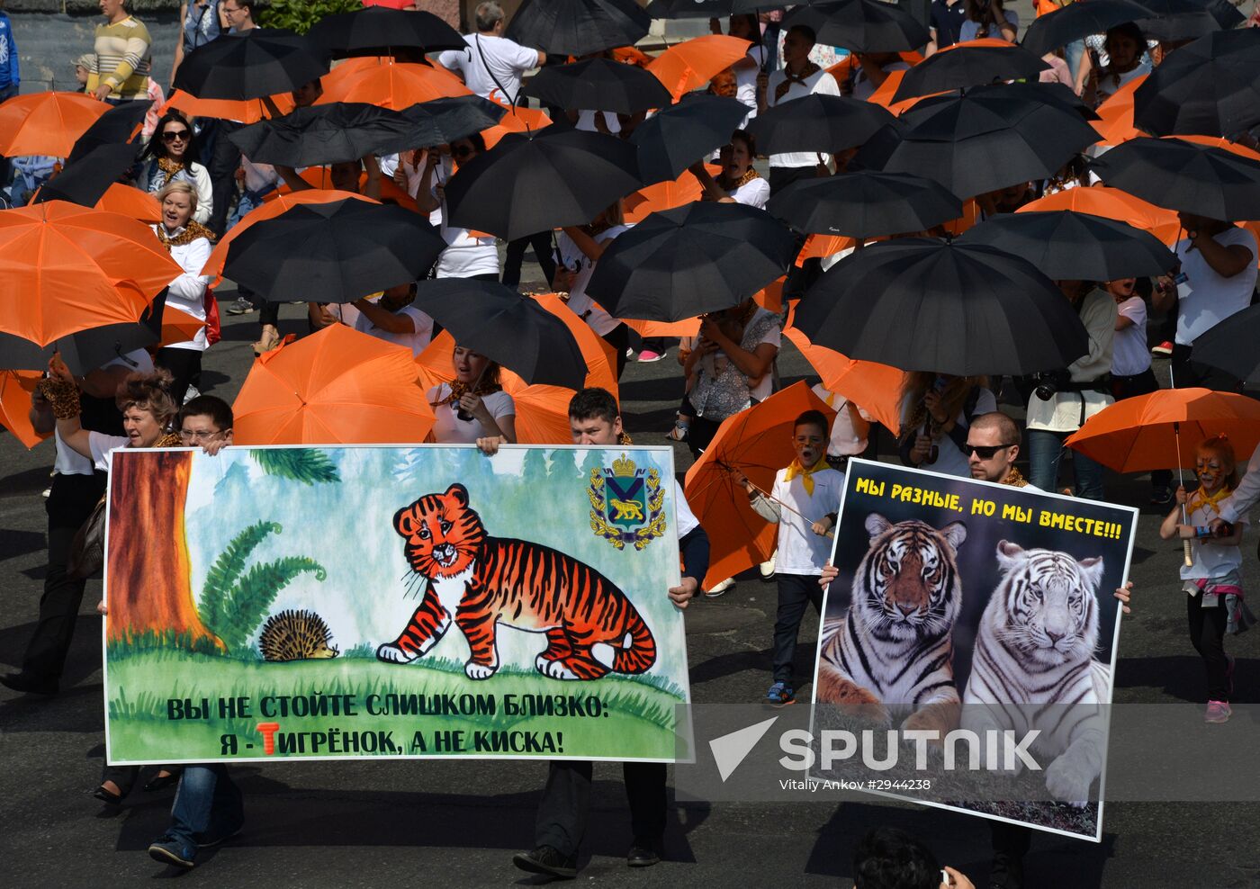 Tiger Day celebrated in Vladivostok