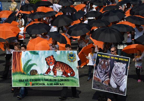 Tiger Day celebrated in Vladivostok