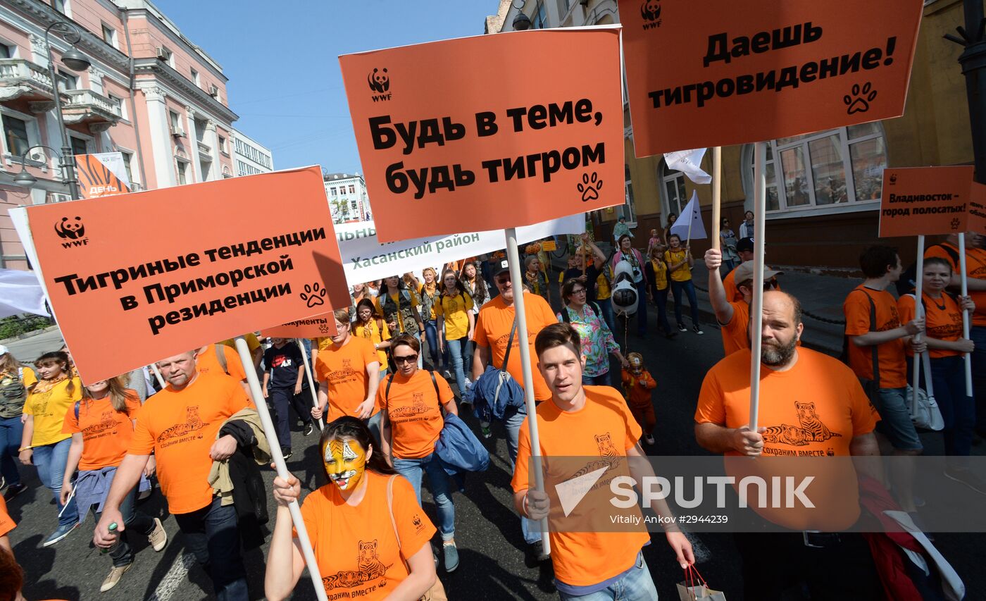 Tiger Day celebrated in Vladivostok