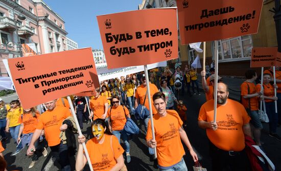 Tiger Day celebrated in Vladivostok
