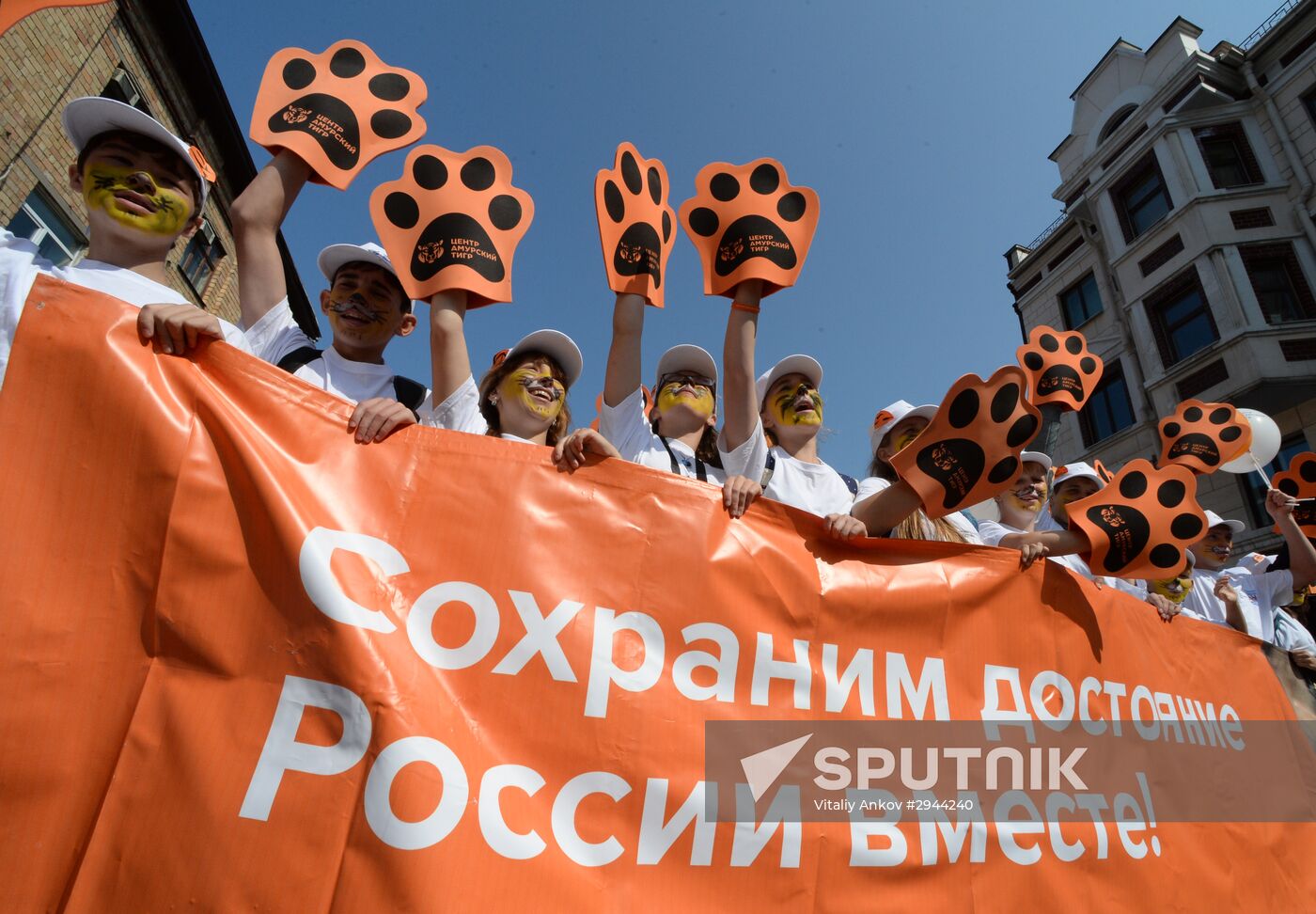 Tiger Day celebrated in Vladivostok