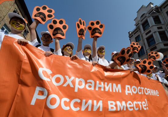 Tiger Day celebrated in Vladivostok
