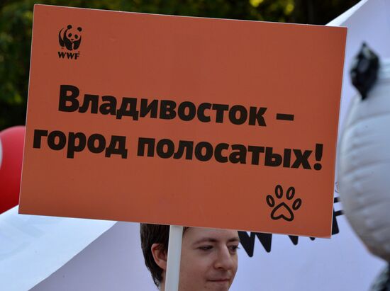 Tiger Day celebrated in Vladivostok