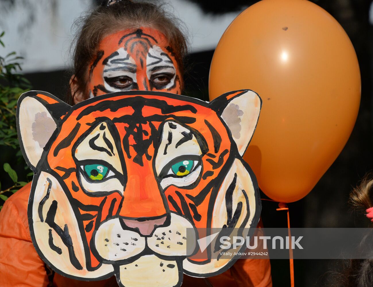 Tiger Day celebrated in Vladivostok