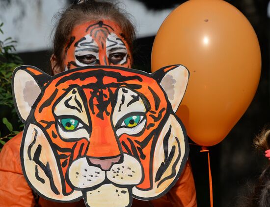 Tiger Day celebrated in Vladivostok