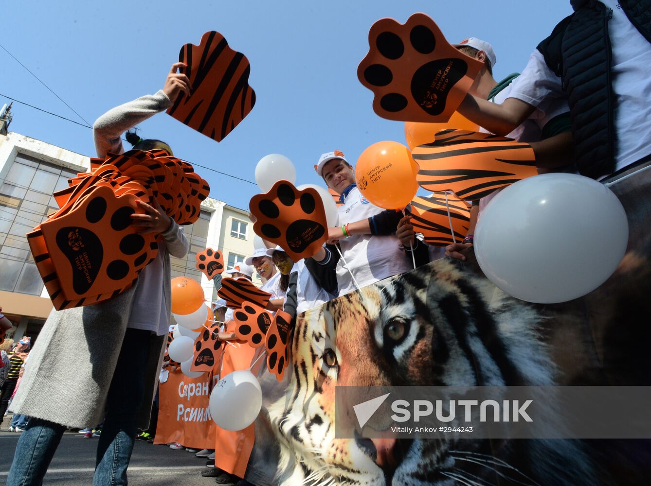 Tiger Day celebrated in Vladivostok