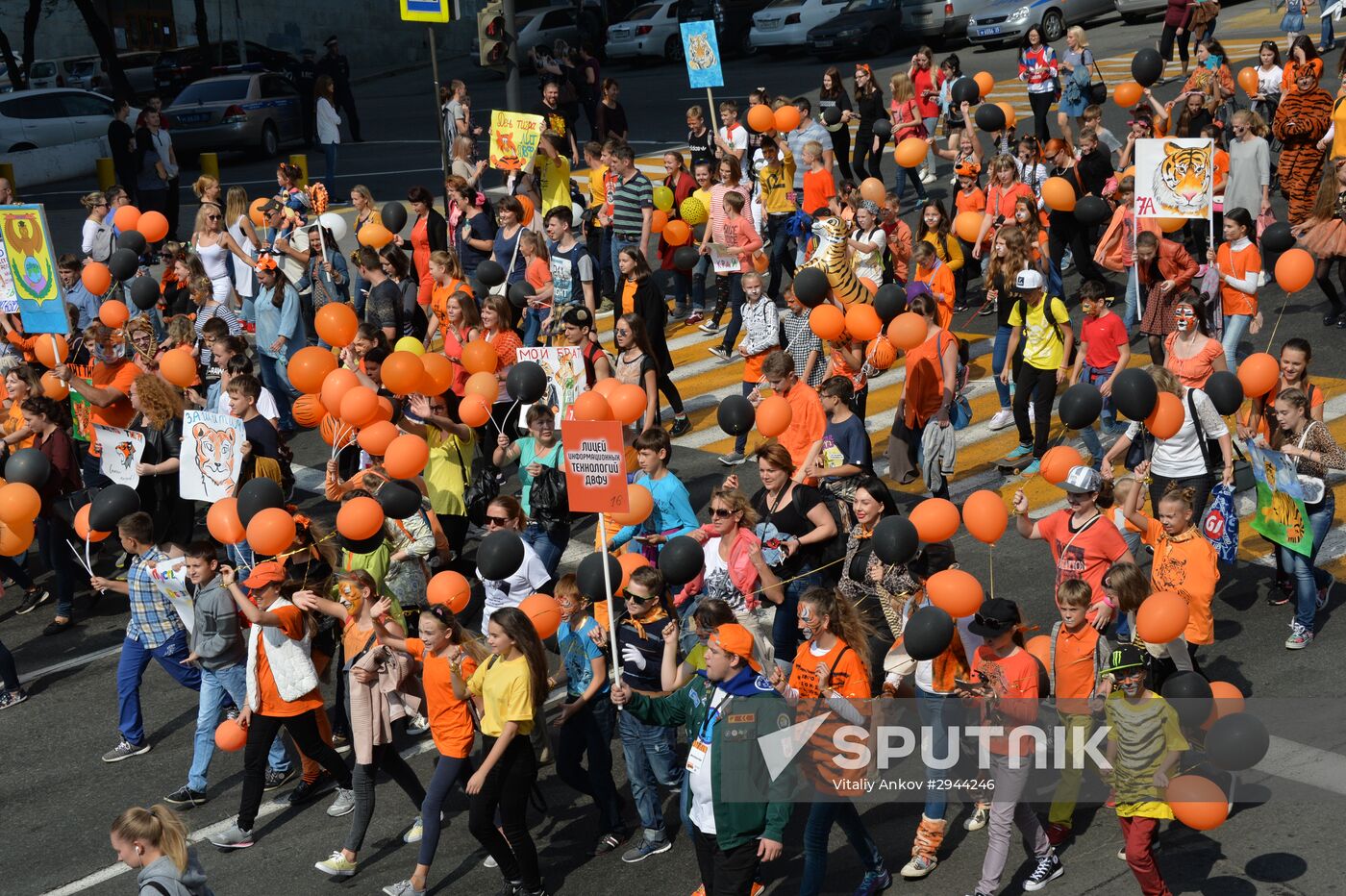 Tiger Day celebrated in Vladivostok