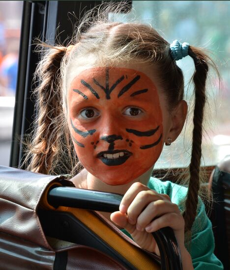 Tiger Day celebrated in Vladivostok
