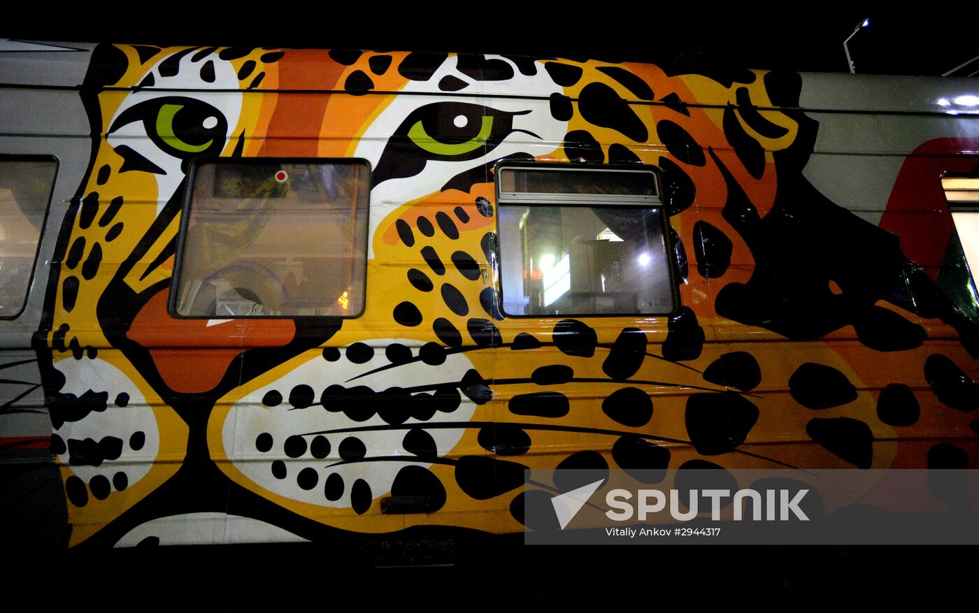 Tiger Day celebrated in Vladivostok