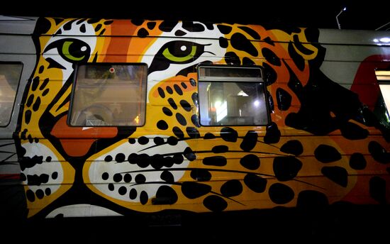 Tiger Day celebrated in Vladivostok