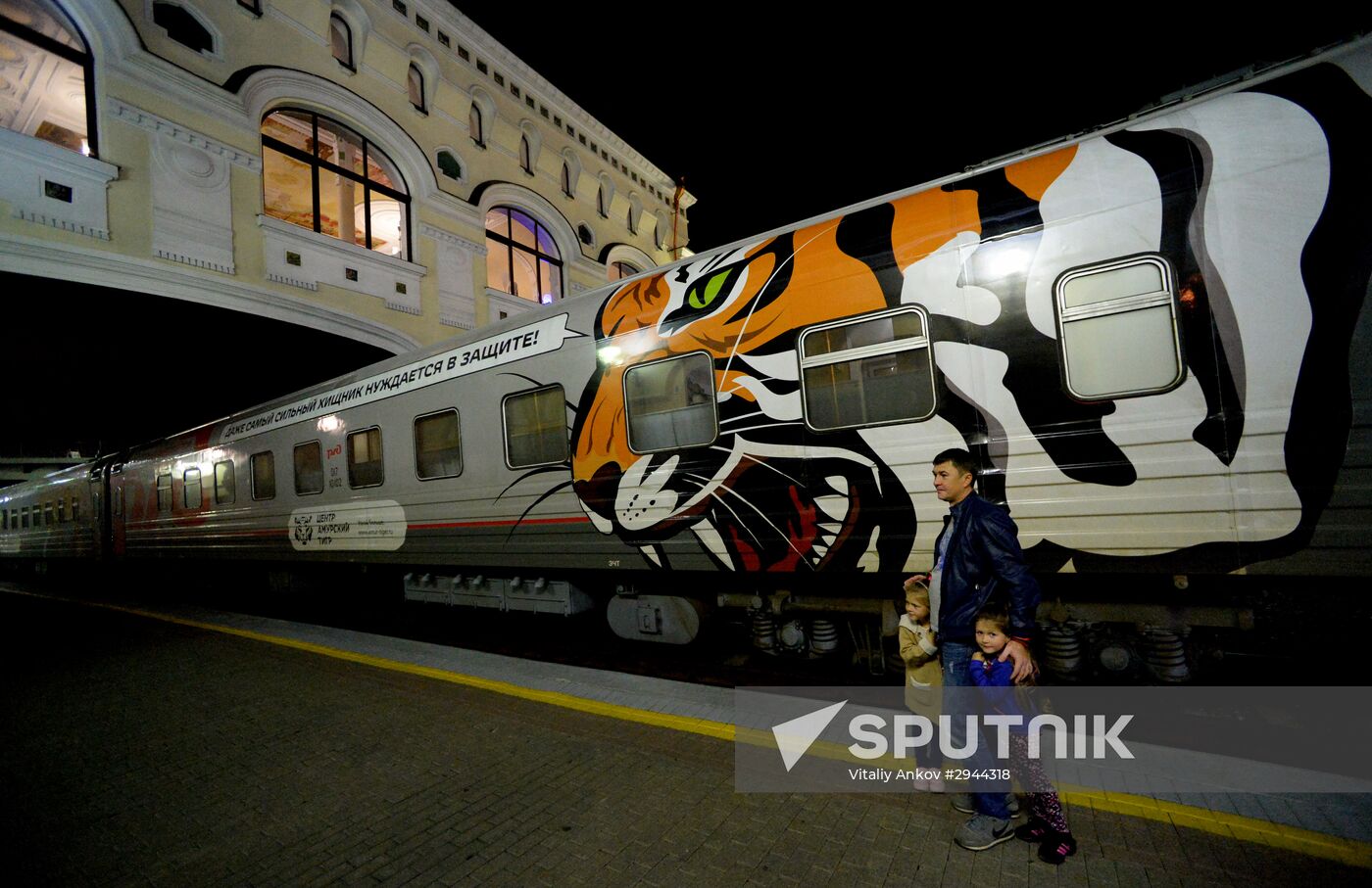 Tiger Day celebrated in Vladivostok