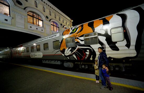 Tiger Day celebrated in Vladivostok