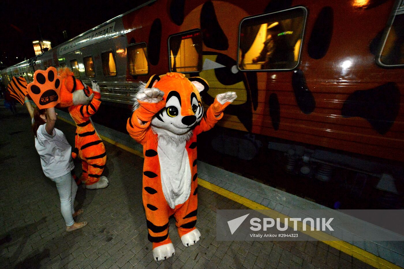 Tiger Day celebrated in Vladivostok