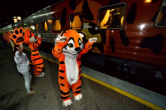 Tiger Day celebrated in Vladivostok