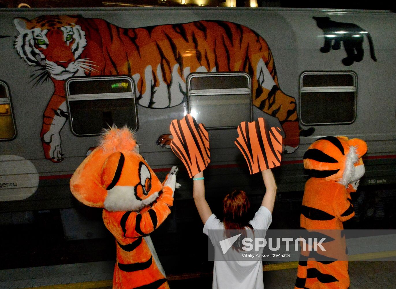 Tiger Day celebrated in Vladivostok