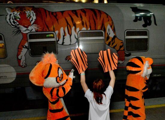 Tiger Day celebrated in Vladivostok