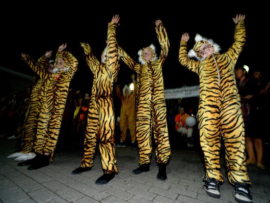 Tiger Day celebrated in Vladivostok
