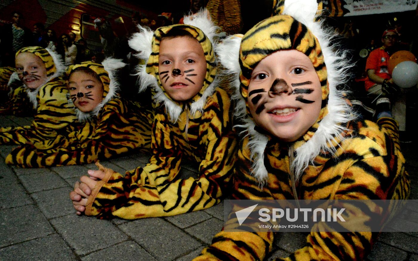 Tiger Day celebrated in Vladivostok