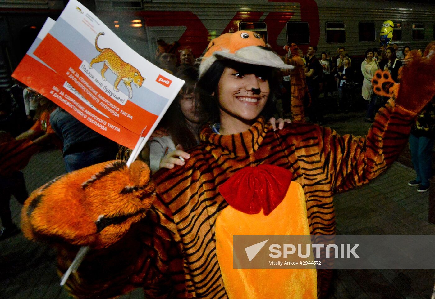 Tiger Day celebrated in Vladivostok
