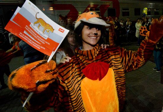 Tiger Day celebrated in Vladivostok