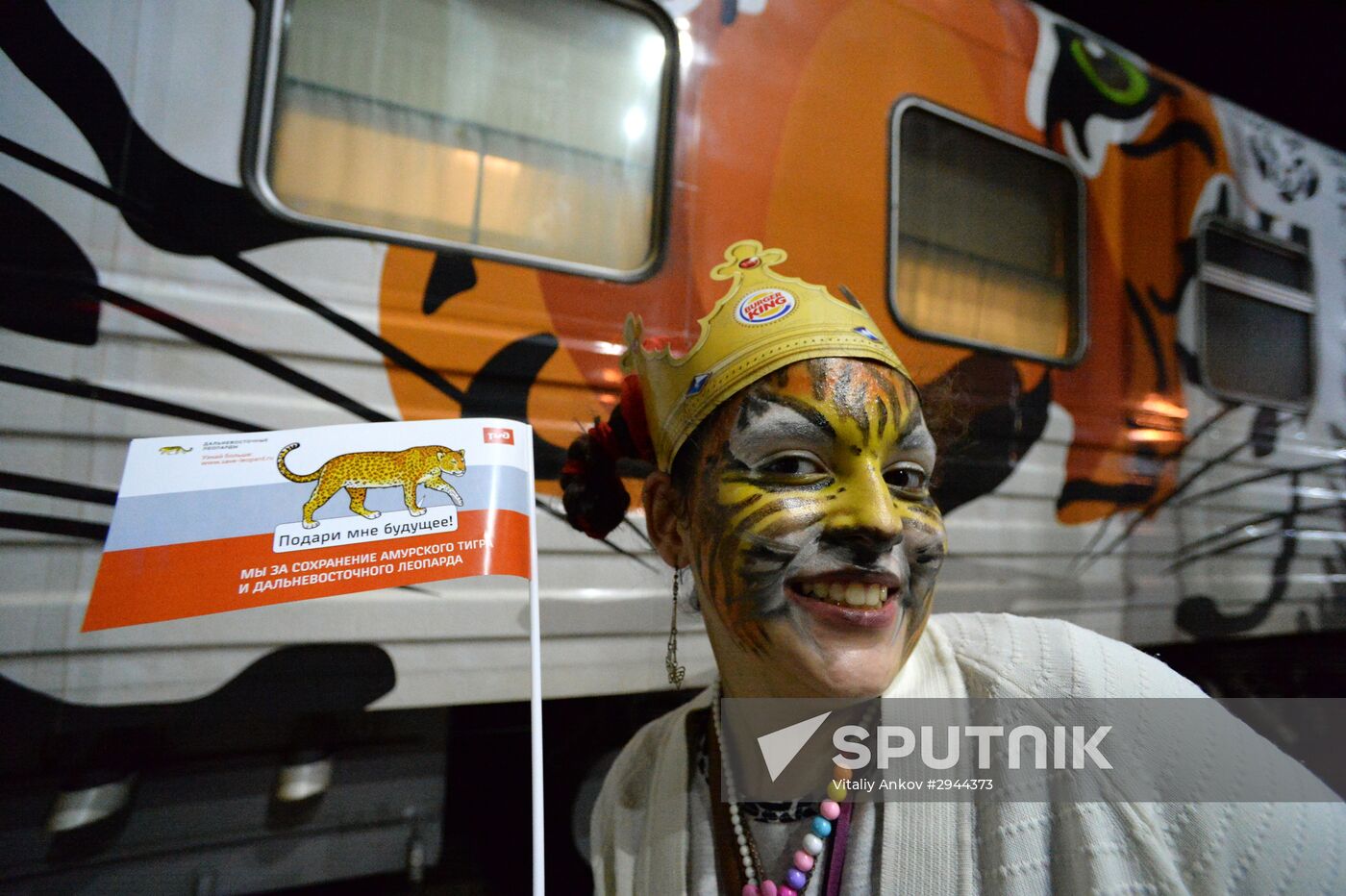 Tiger Day celebrated in Vladivostok