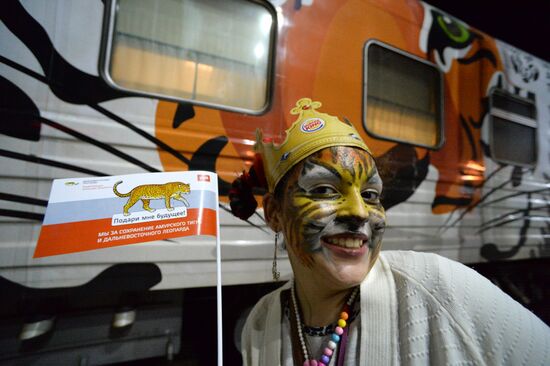 Tiger Day celebrated in Vladivostok