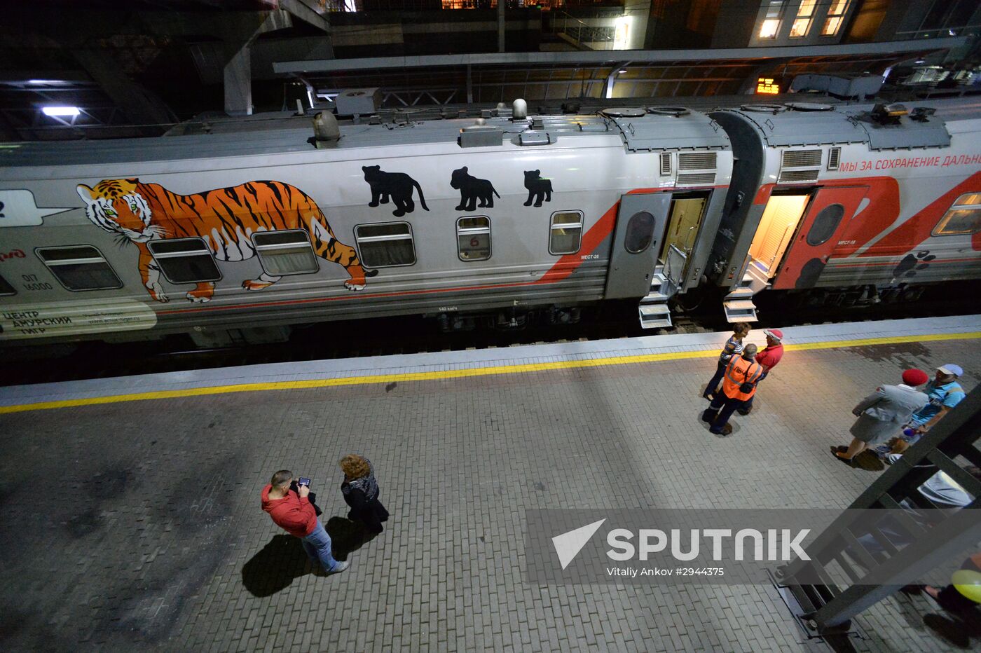 Tiger Day celebrated in Vladivostok