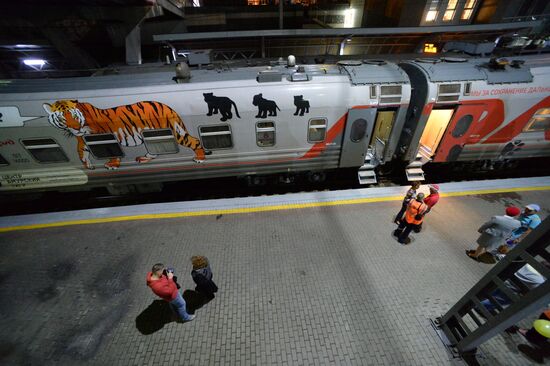 Tiger Day celebrated in Vladivostok
