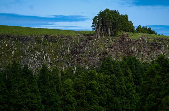 Sao Miguel Island