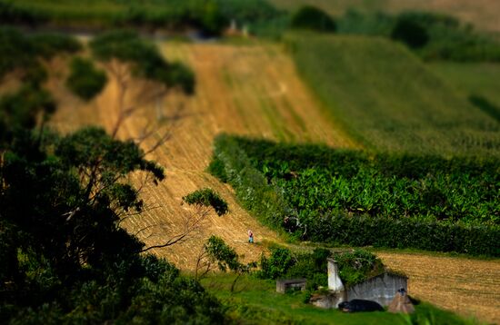 San Miguel Island