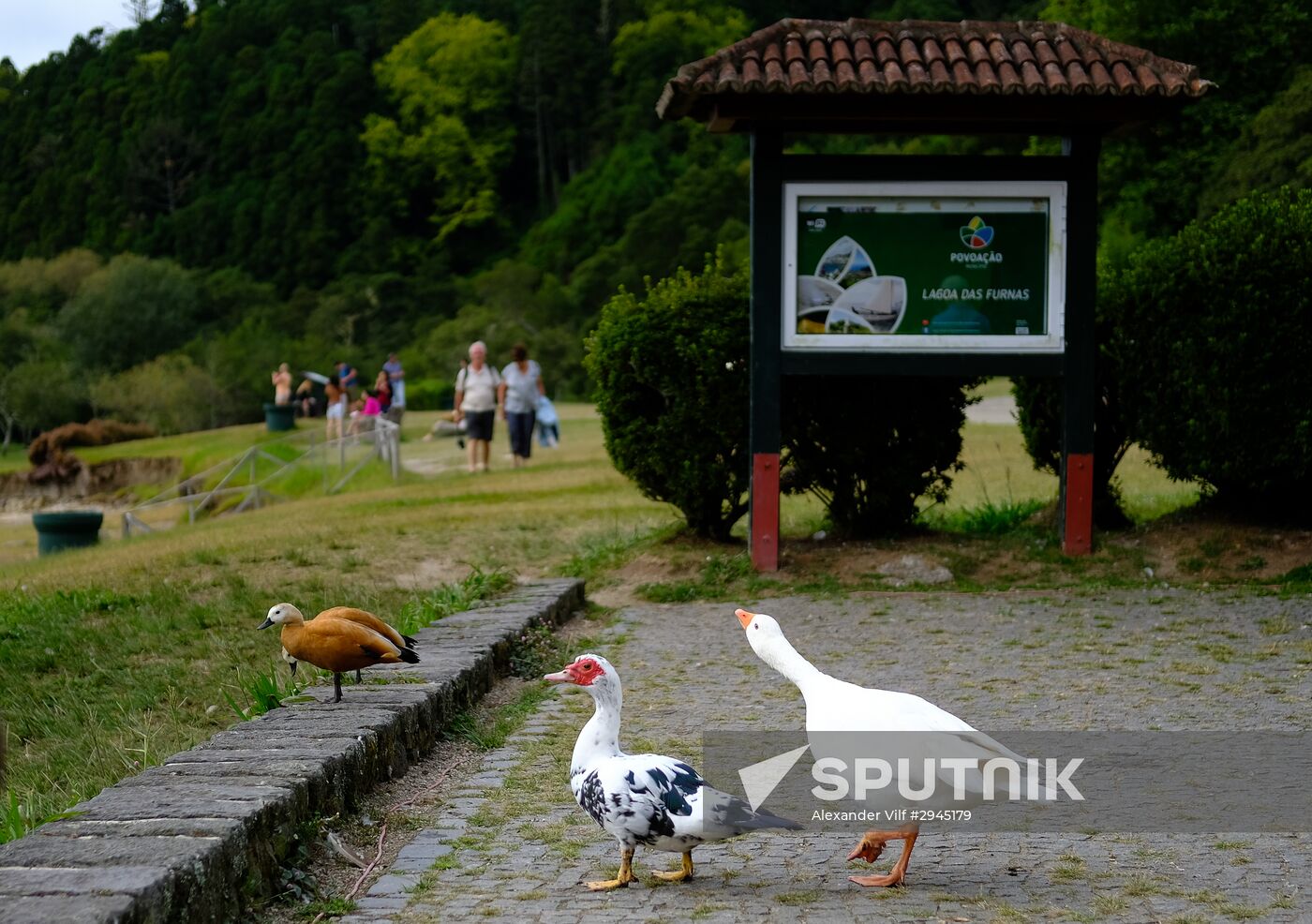 Sao Miguel Island