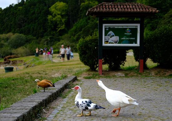 Sao Miguel Island