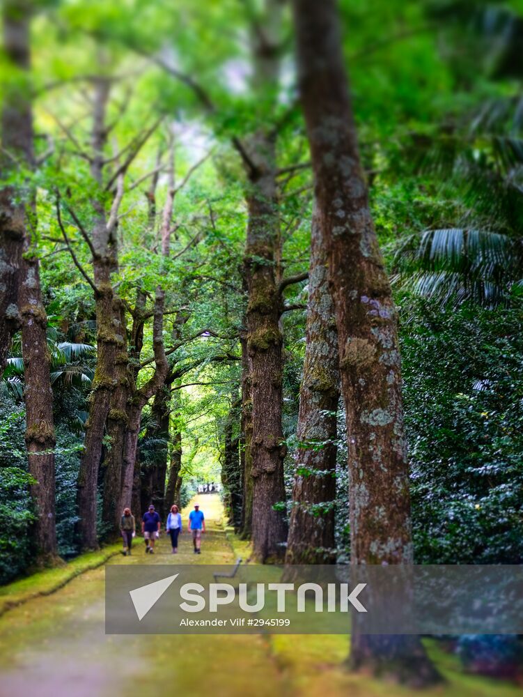 Sao Miguel Island