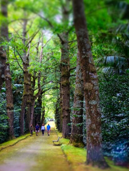 Sao Miguel Island