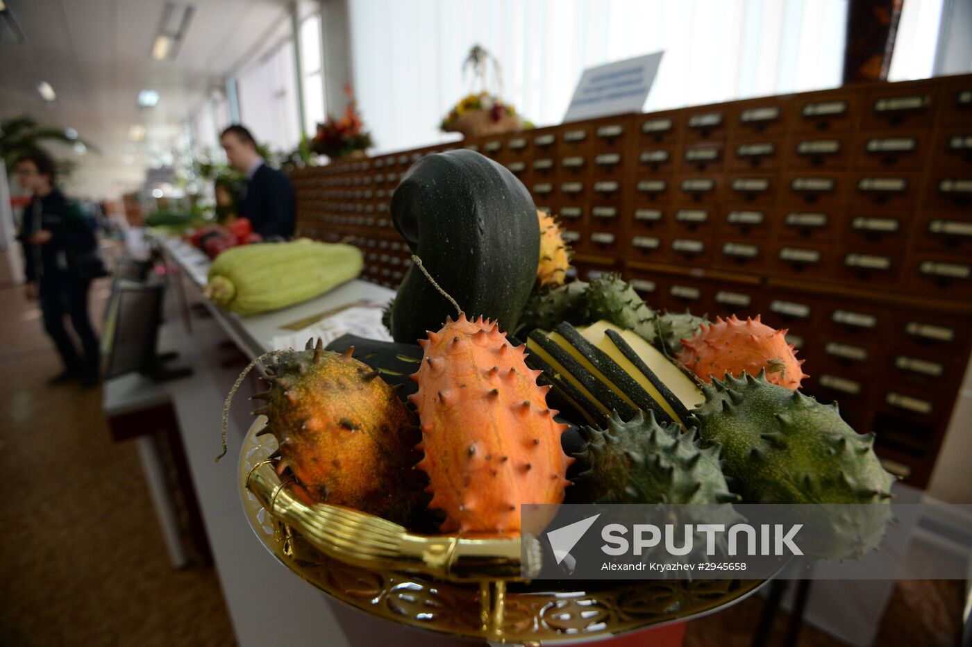 Science festival in Novosibirsk