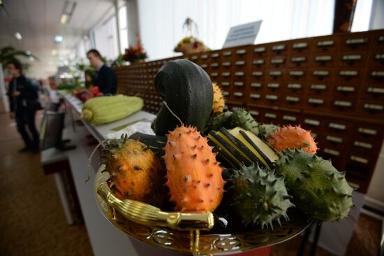 Science festival in Novosibirsk